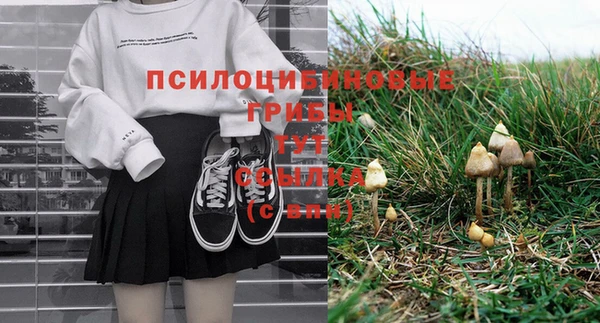 альфа пвп Новодвинск
