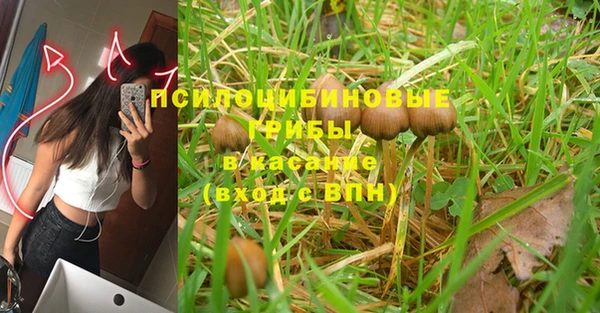 Альфа ПВП Новозыбков