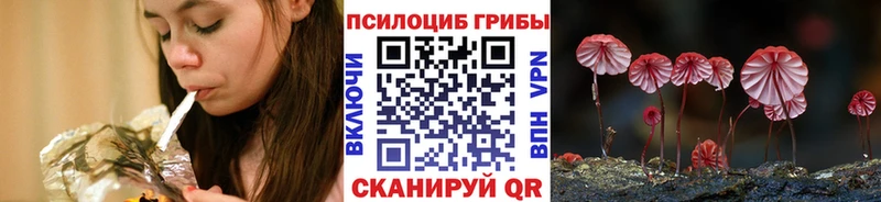 купить наркотики сайты  Соликамск  Псилоцибиновые грибы GOLDEN TEACHER 
