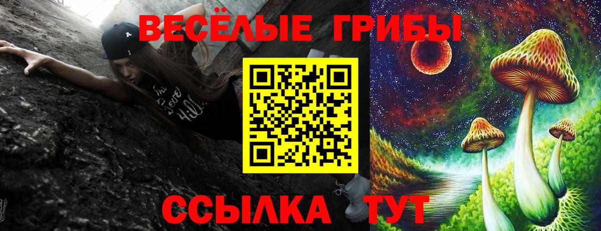 Соликамск  Галлюциногенные грибы Magic Shrooms  Вход с VPN 