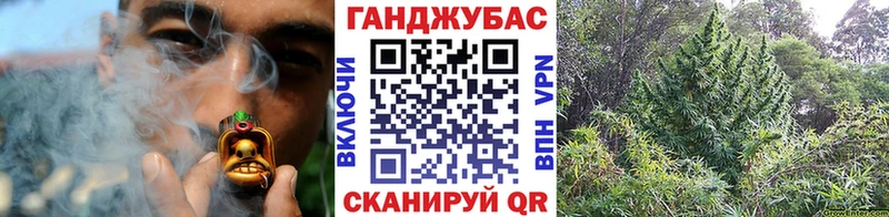 Шишки марихуана план  Соликамск 